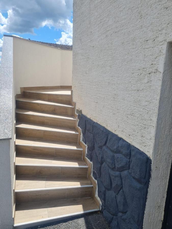Ruzic Apartament
